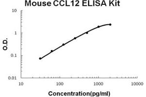 Mouse CCL12/MCP5 PicoKine ELISA Kit standard curve (Ccl12 ELISA Kit)