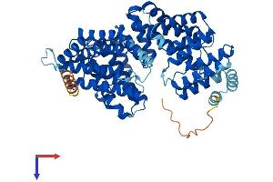 AlphaFold protein structure predicition of Human Recombinant TTC22 Protein, UniprotID Q5TAA0