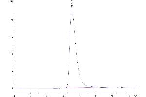The purity of Biotinylated Human LILRA6/CD85b/ILT8 is greater than 95 % as determined by SEC-HPLC.