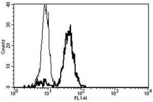 Flow Cytometry (FACS) image for anti-CD86 (CD86) antibody (FITC) (ABIN1106595) (CD86 antibody  (FITC))