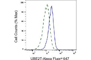 Validation of UBE2T knockdown using flow cytometry. (Recombinant Ube2t antibody)