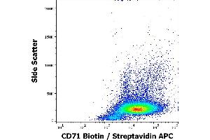Flow cytometry surface staining pattern of human PHA stimulated peripheral blood mononuclear cells stained using anti-human CD71 (MEM-75) Biotin antibody (concentration in sample 0,6 μg/mL, Streptavidin APC). (Transferrin Receptor antibody  (Biotin))