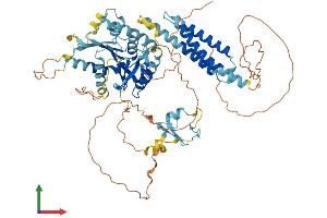 AlphaFold protein structure predicition of Mouse Recombinant Rnf112 Protein, UniprotID Q96DY5 (RNF112 Protein (AA 1-654) (His tag))
