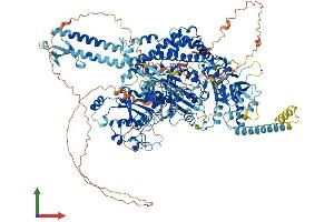 AlphaFold protein structure predicition of Mouse Recombinant Msh6 Protein, UniprotID P54276 (MSH6 Protein (AA 1-1358) (His tag))