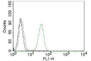 Flow Cytometric analysis of human CD31 on Jurkat cells. (CD31 antibody)