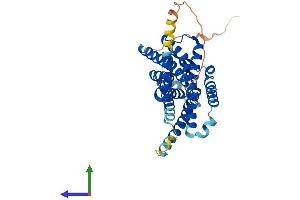 Protein Structure (PS) image for Melatonin Receptor 1A (MTNR1A) (AA 1-350) protein (His tag) (ABIN7549552)