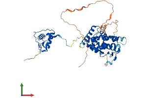 AlphaFold protein structure predicition of Human Recombinant HNF4G Protein, UniprotID Q14541