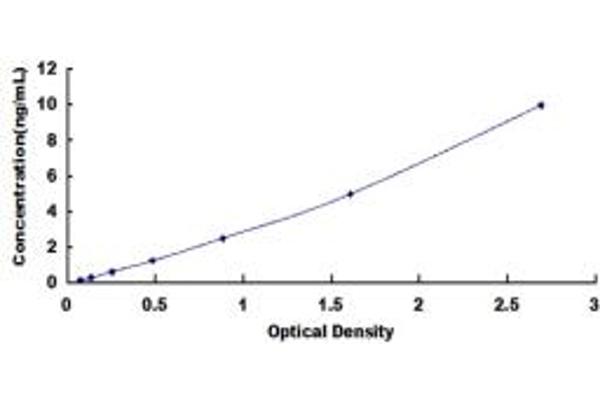 ETS1 ELISA Kit
