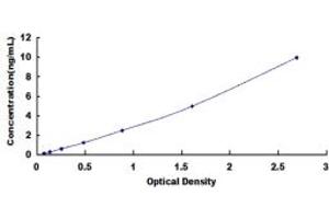 Typical standard curve (ETS1 ELISA Kit)