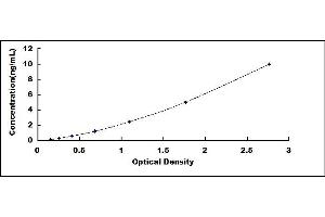 Typical standard curve (CSN2 ELISA Kit)