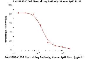 Serial dilutions of Anti-SARS-CoV-2 Neutralizing Antibody, Human IgG1 (ABIN6952616) was detected by SARS-CoV-2 Inhibitor screening Kit (ABIN6952717) with a half maximal inhibitory concentration (IC50) of 1. (Recombinant SARS-CoV-2 Spike S1 antibody  (RBD))