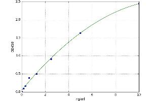 DNA-Damage Regulated Autophagy Modulator 1 (DRAM1) ELISA Kit