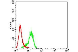 Flow cytometric analysis of Hela cells using PLXNA1 mouse mAb (green) and negative control (red).