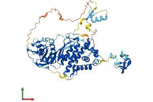 AlphaFold protein structure predicition of Human Recombinant PGBD3 Protein, UniprotID Q8N328 (PGBD3 Protein (AA 1-593) (His tag))