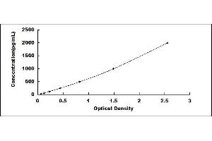 Typical standard curve (WISP1 ELISA Kit)