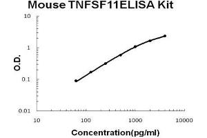 Mouse TNFSF11/RANKL PicoKine ELISA Kit standard curve