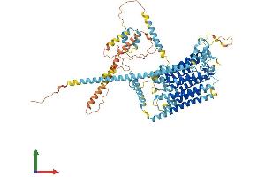 Protein Structure (PS) image for Transmembrane Channel-Like 6 (TMC6) (AA 1-805) protein (His tag) (ABIN7555797)