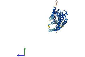 Protein Structure (PS) image for Chemokine (C-X-C Motif) Receptor 6 (CXCR6) (AA 1-342) protein (His tag) (ABIN7546928)