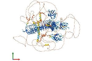 Protein Structure (PS) image for Scribbled Homolog (SCRIB) (AA 1-1612) protein (His tag) (ABIN7564257)