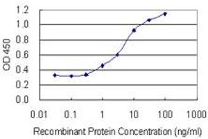 Detection limit for recombinant GST tagged NANOS3 is 0. (NANOS3 antibody  (AA 1-100))