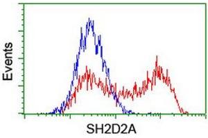 HEK293T cells transfected with either RC204162 overexpress plasmid (Red) or empty vector control plasmid (Blue) were immunostained by anti-SH2D2A antibody (ABIN2455613), and then analyzed by flow cytometry. (SH2D2A antibody)