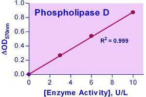 Biochemical Assay (BCA) image for Phospholipase D Assay Kit (ABIN1000328) (Phospholipase D Assay Kit)
