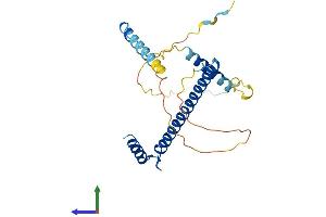 Protein Structure (PS) image for Coiled-Coil Domain Containing 59 (CCDC59) (AA 1-240) protein (His tag) (ABIN7559697)