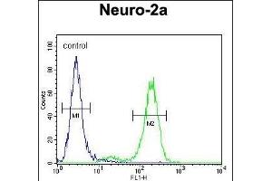 DDX11 Antibody (Center) (ABIN654411 and ABIN2844149) flow cytometric analysis of Neuro-2a cells (right histogram) compared to a negative control cell (left histogram). (DDX11 antibody  (AA 656-683))