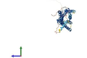AlphaFold protein structure predicition of Mouse Recombinant Npy1r Protein, UniprotID Q04573