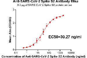 Elisa plate pre-coated by 2 μg/mL(100 μL/well) SARS-CoV-2 Spike S2 protein can bind Rabbit Anti-SARS-CoV-2 Spike S2 monoclonal antibody (clone:DM24) in a linear range of 1. (SARS-CoV-2 Spike S2 antibody)