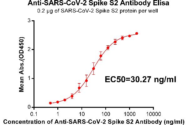 SARS-CoV-2 Spike S2 antibody