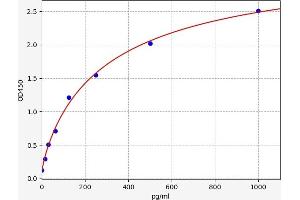 ERN1 ELISA Kit