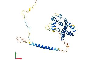 AlphaFold protein structure predicition of Mouse Recombinant Aimp2 Protein, UniprotID Q8R010
