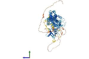 Protein Structure (PS) image for Dynamin 1 (DNM1) (AA 1-867) protein (His tag) (ABIN7563206)