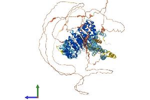 AlphaFold protein structure predicition of Mouse Recombinant Carmil3 Protein, UniprotID Q3UFQ8 (LRRC16B Protein (AA 1-1375) (His tag))