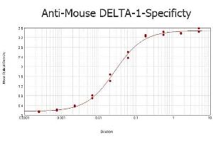 ELISA results of purified Rabbit anti-Mouse DELTA-1 Antibody tested against BSA-conjugated peptide of immunizing peptide. (DLL1 antibody  (AA 150-175))
