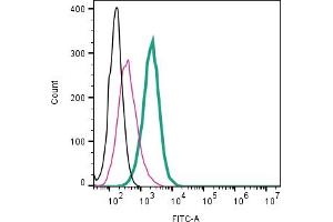 Cell surface detection of CaV1.