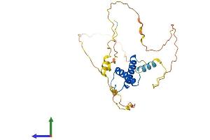 AlphaFold protein structure predicition of Human Recombinant MESP1 Protein, UniprotID Q9BRJ9 (MESP1 Protein (AA 1-268) (His tag))