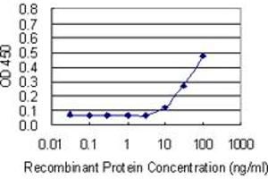 Detection limit for recombinant GST tagged THY1 is 3 ng/ml as a capture antibody. (CD90 antibody  (AA 1-161))
