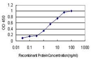 Detection limit for recombinant GST tagged TAX1BP3 is approximately 0. (TAX1BP3 antibody  (AA 1-124))