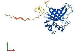 AlphaFold protein structure predicition of Mouse Recombinant Gid4 Protein, UniprotID Q9CPY6