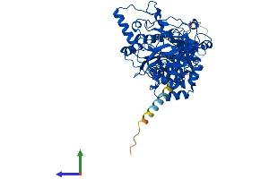 AlphaFold protein structure predicition of Mouse Recombinant Galnt4 Protein, UniprotID O08832 (GALNT4 Protein (AA 1-578) (His tag))
