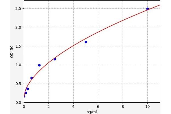 TOP2B ELISA Kit