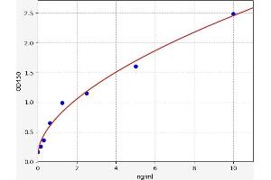 Typical standard curve (TOP2B ELISA Kit)