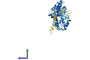 AlphaFold protein structure predicition of Mouse Recombinant Cyth2 Protein, UniprotID P63034