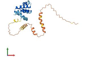 AlphaFold protein structure predicition of Human Recombinant CARD16 Protein, UniprotID Q5EG05