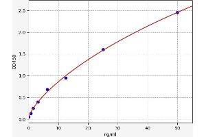 SMAD1 ELISA Kit