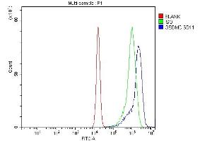 anti-Gasdermin D (GSDMD) (AA 1-484) antibody