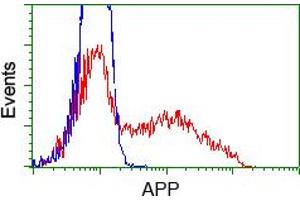 Image no. 6 for anti-Amyloid beta (A4) Precursor Protein (APP) antibody (ABIN1496876) (APP antibody)