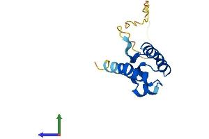AlphaFold protein structure predicition of Human Recombinant SAMD13 Protein, UniprotID Q5VXD3